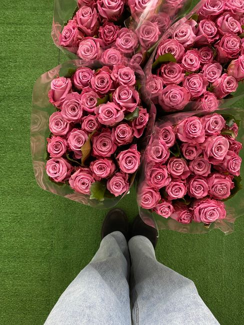 A top-down view of three large bouquets of pink roses with tightly packed, velvety petals, wrapped in clear plastic, resting on a green carpet. The bouquets are arranged on a flat surface, and a perso